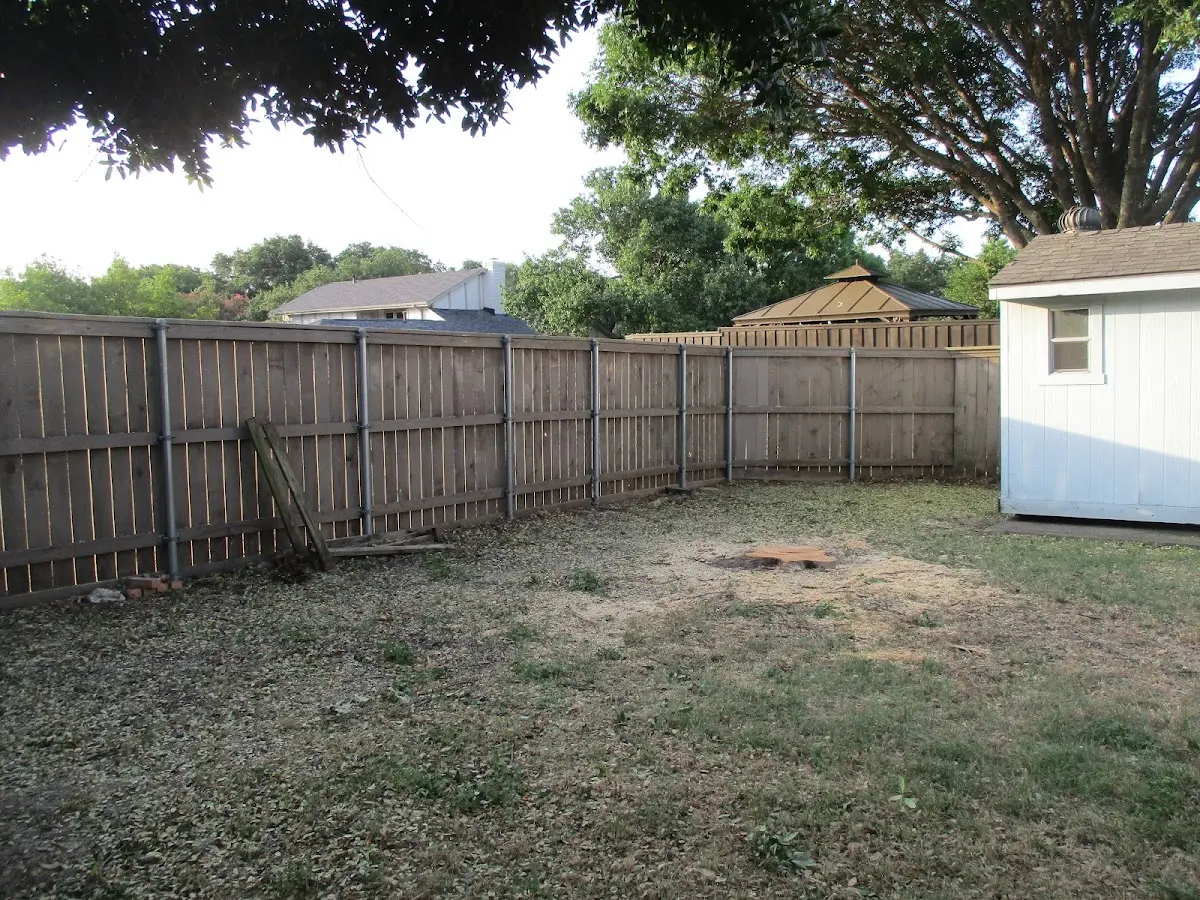 Cleared yard after professional tree removal in Ludlow